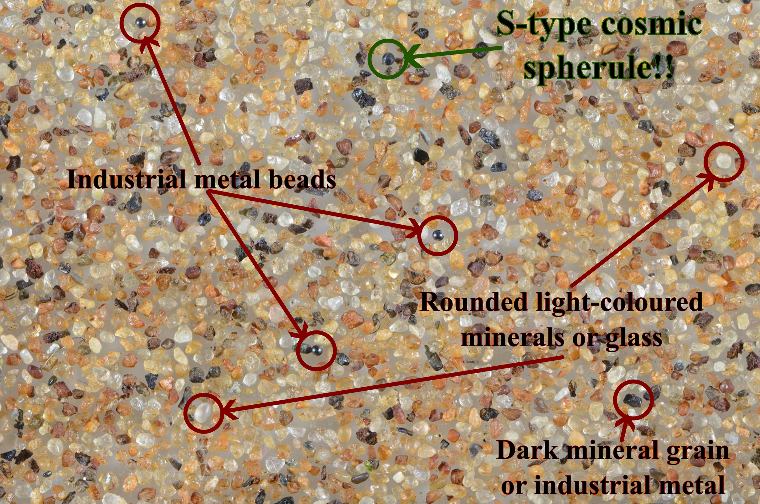 Collection dish comparing one cosmic spherule with industrial and natural look-alike particles